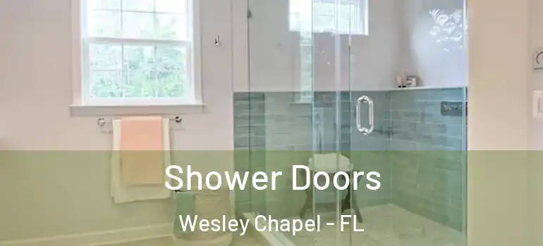 Shower Doors Wesley Chapel - FL