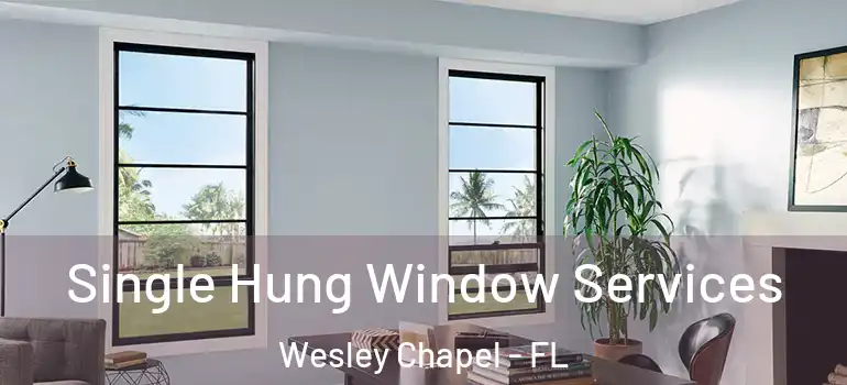 Single Hung Window Services Wesley Chapel - FL