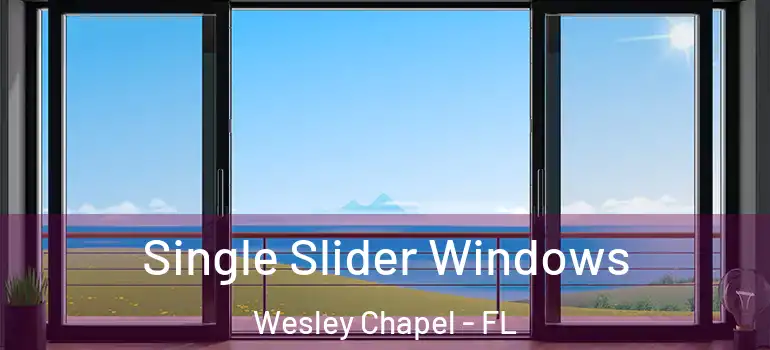 Single Slider Windows Wesley Chapel - FL