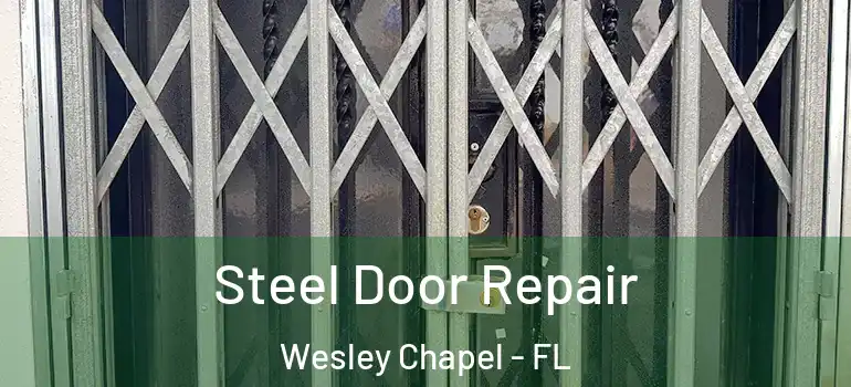 Steel Door Repair Wesley Chapel - FL
