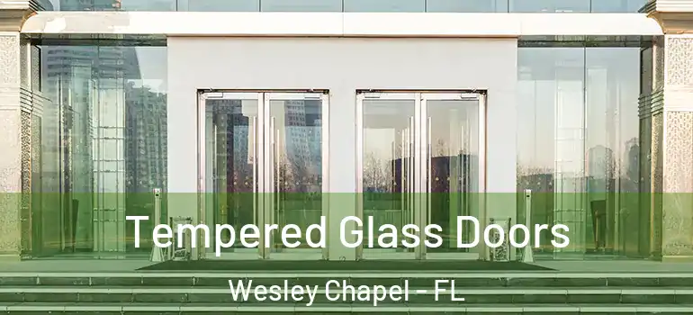 Tempered Glass Doors Wesley Chapel - FL