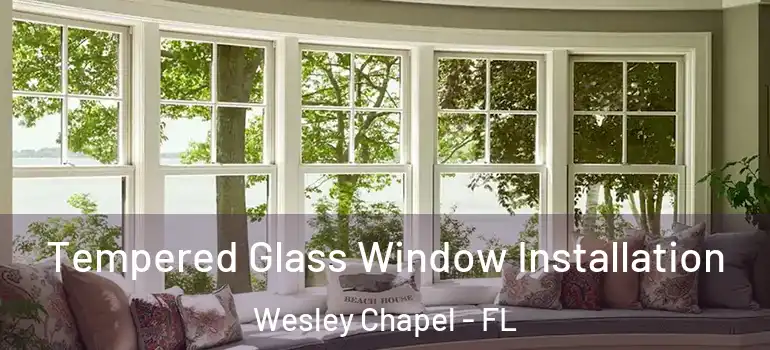Tempered Glass Window Installation Wesley Chapel - FL