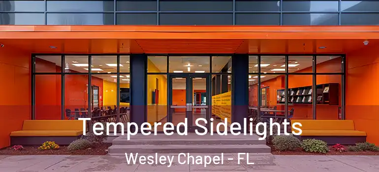 Tempered Sidelights Wesley Chapel - FL