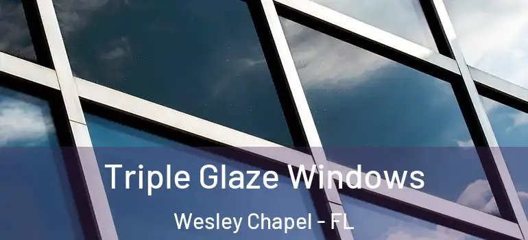 Triple Glaze Windows Wesley Chapel - FL