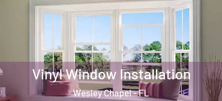 Vinyl Window Installation Wesley Chapel - FL