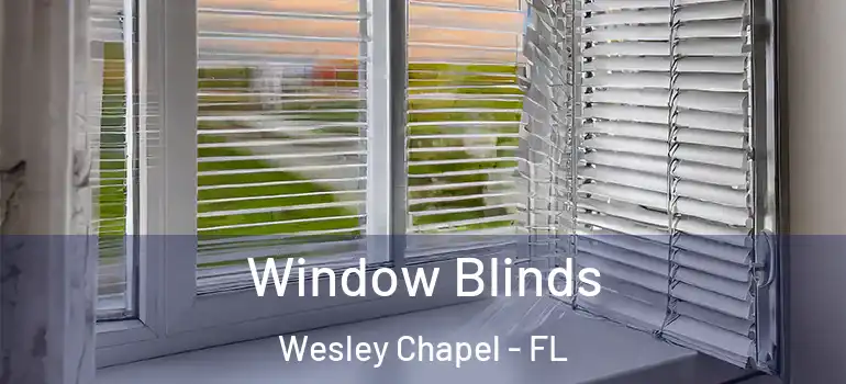 Window Blinds Wesley Chapel - FL