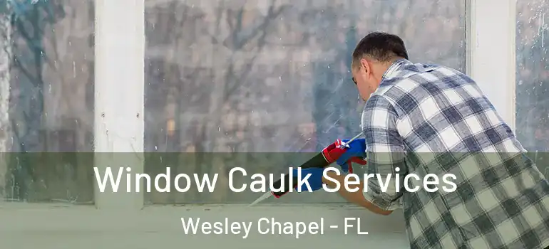 Window Caulk Services Wesley Chapel - FL