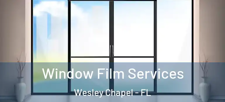 Window Film Services Wesley Chapel - FL