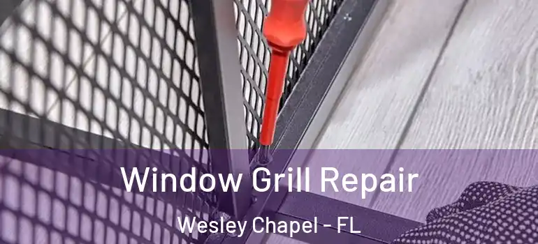 Window Grill Repair Wesley Chapel - FL