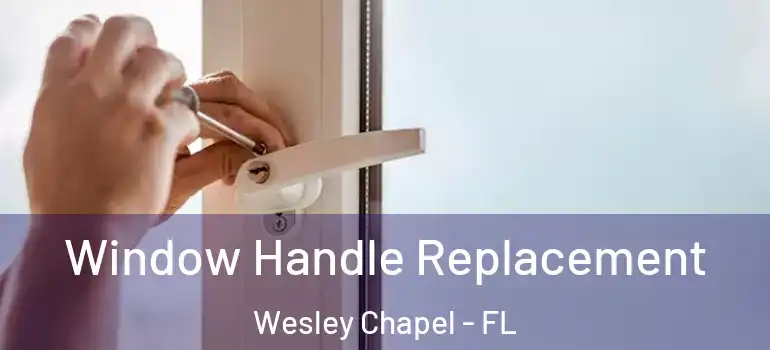 Window Handle Replacement Wesley Chapel - FL