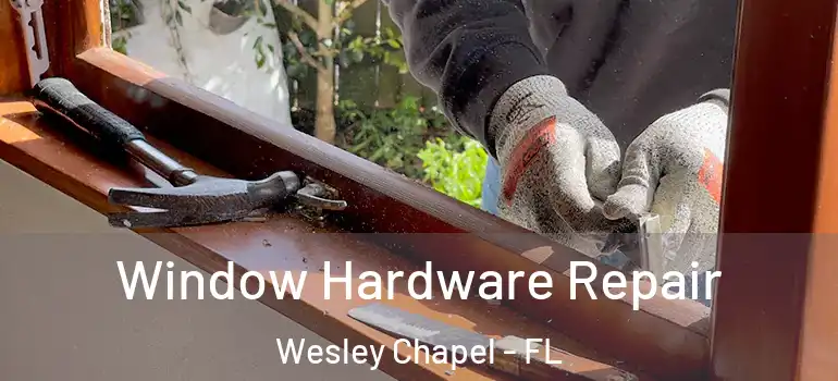 Window Hardware Repair Wesley Chapel - FL