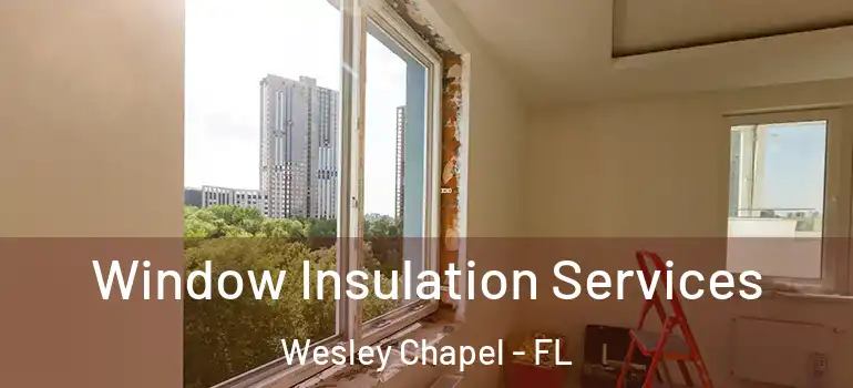 Window Insulation Services Wesley Chapel - FL