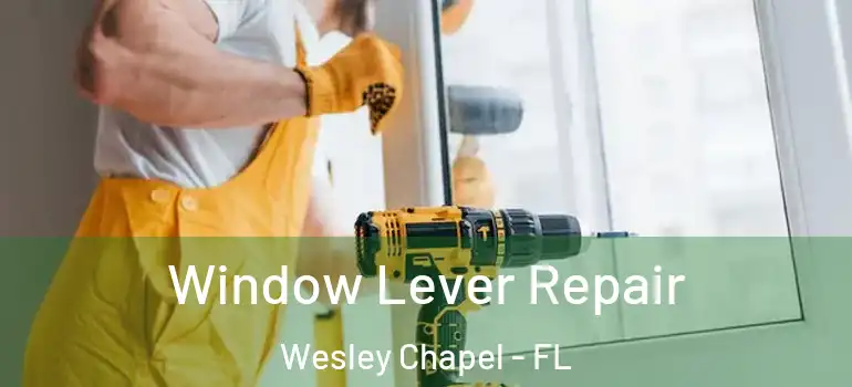 Window Lever Repair Wesley Chapel - FL