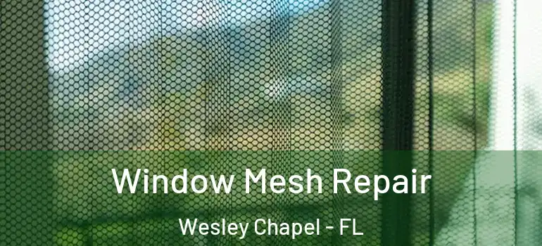 Window Mesh Repair Wesley Chapel - FL