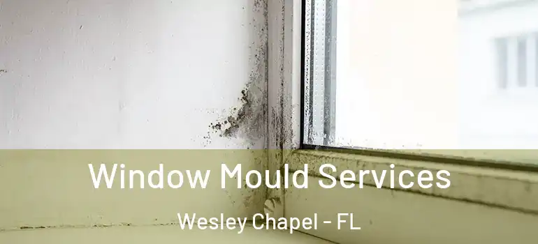 Window Mould Services Wesley Chapel - FL
