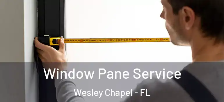 Window Pane Service Wesley Chapel - FL