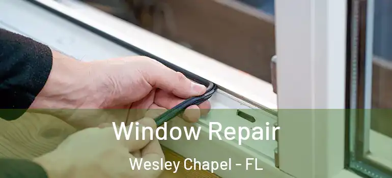 Window Repair Wesley Chapel - FL