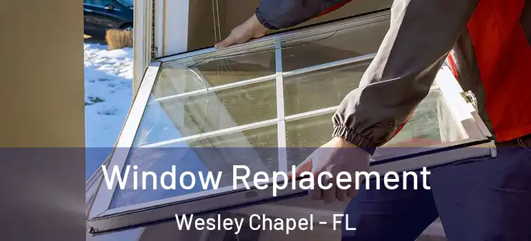 Window Replacement Wesley Chapel - FL