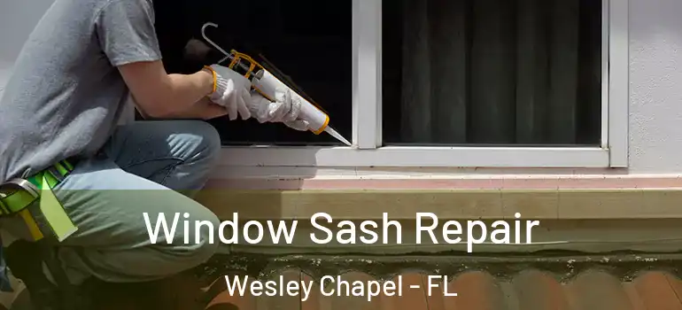 Window Sash Repair Wesley Chapel - FL