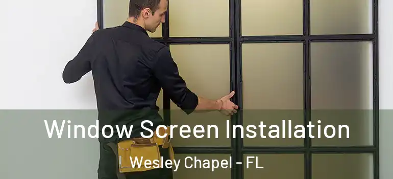 Window Screen Installation Wesley Chapel - FL