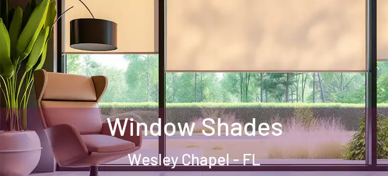 Window Shades Wesley Chapel - FL