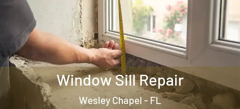Window Sill Repair Wesley Chapel - FL