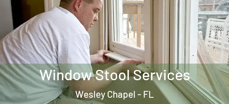 Window Stool Services Wesley Chapel - FL