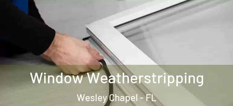 Window Weatherstripping Wesley Chapel - FL